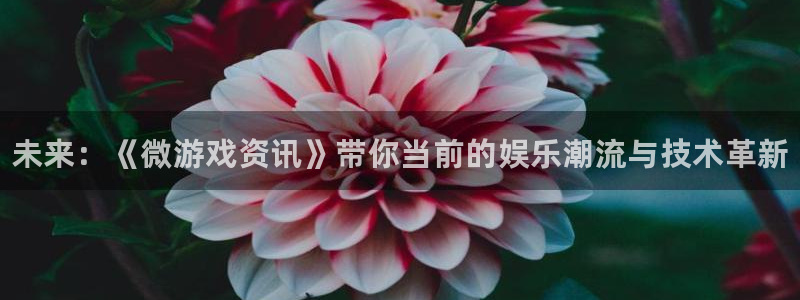 蓝冠娱乐平台登录入口：未来：《微游戏资讯》带你当前的娱乐潮流