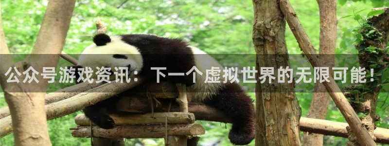 蓝冠娱乐平台官方网站：公众号游戏资讯：下一个虚拟世界的无限可