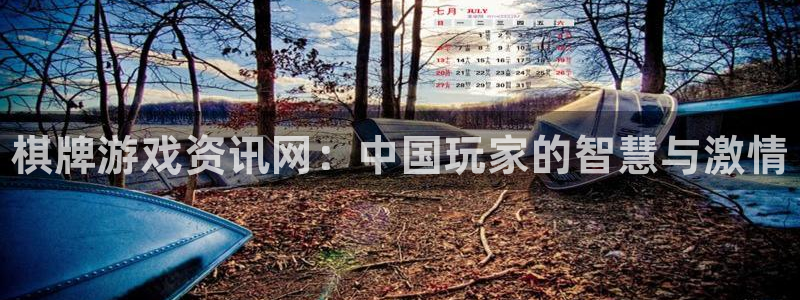 蓝冠娱乐什么意思：棋牌游戏资讯网：中国玩家的智慧与激情