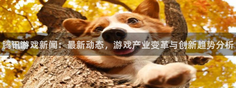 蓝冠娱乐Ii：腾讯游戏新闻：最新动态，游戏产业变革与创新趋势