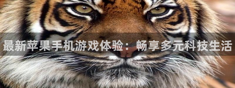 蓝冠娱乐平台官网登录：最新苹果手机游戏体验：畅享多元科技生活