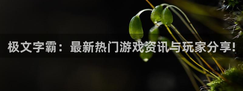 蓝冠娱乐平台登录入口：极文字霸：最新热门游戏资讯与玩家分享!