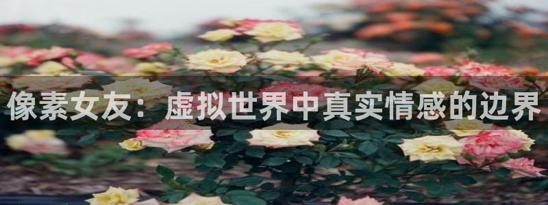 蓝冠娱乐网址官网：像素女友：虚拟世界中真实情感的边界