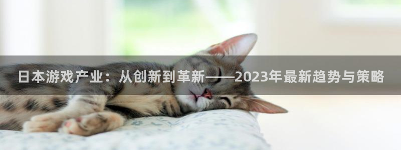 蓝冠娱乐注册测速：日本游戏产业：从创新到革新——2023年最