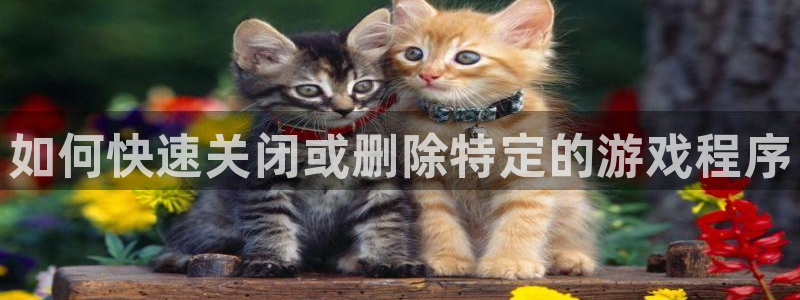 蓝冠娱乐注册：如何快速关闭或删除特定的游戏程序