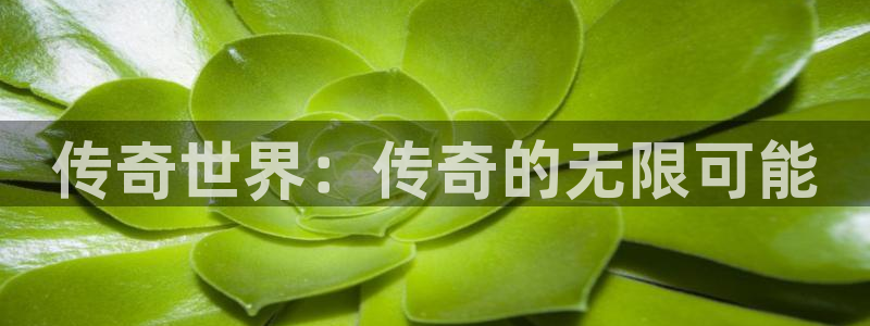 蓝冠娱乐官网登录：传奇世界：传奇的无限可能