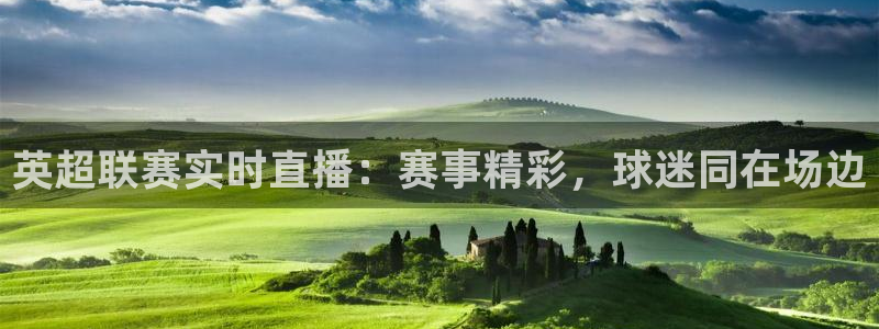 360直播软件足球：英超联赛实时直播：赛事精彩，球迷同在场边