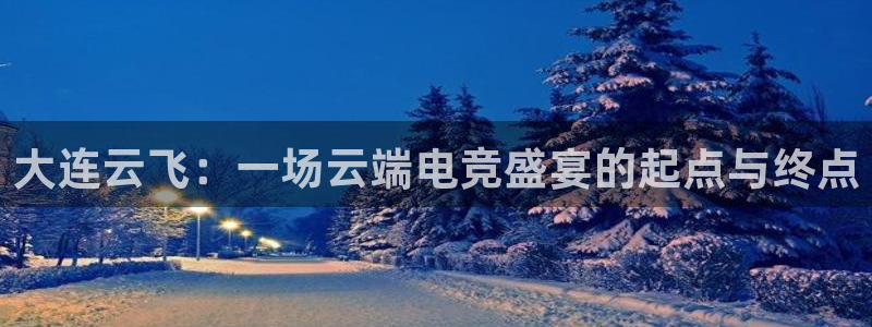 雨燕360体育免费直播环法：大连云飞：一场云端电竞盛宴的起点与终点