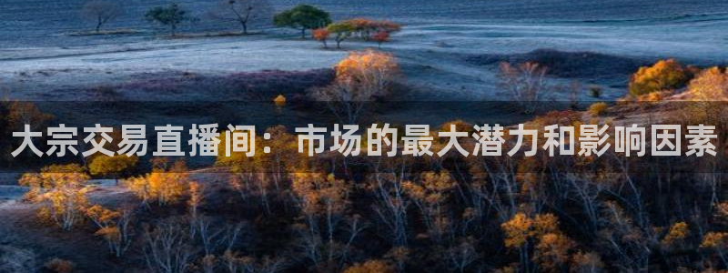 360直播网球直播在线观看：大宗交易直播间：市场的最大潜力和影响因素