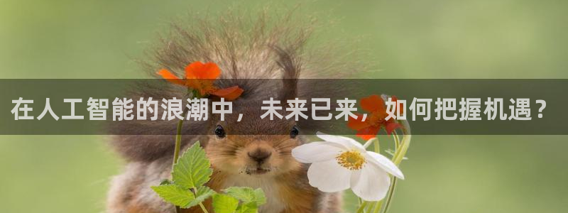 360体育直播：在人工智能的浪潮中，未来已来，如何把握机遇？