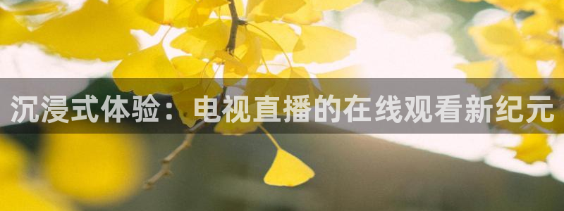 360体育直播：沉浸式体验：电视直播的在线观看新纪元