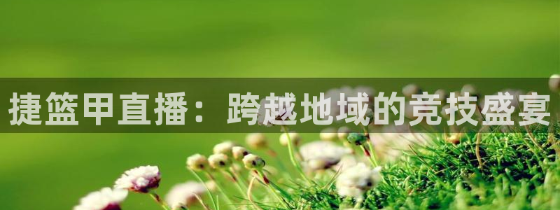看球宝360足球直播：捷篮甲直播：跨越地域的竞技盛宴