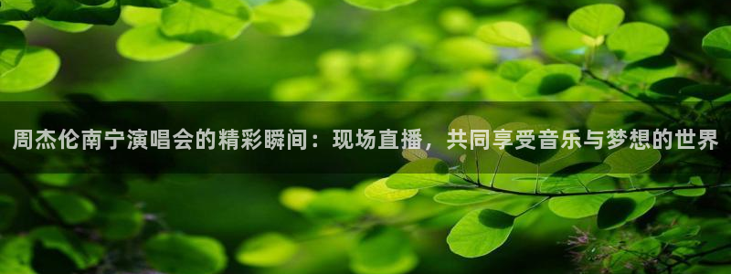360直播体育直播nba直播：周杰伦南宁演唱会的精彩瞬间：现场直播，共同享受音乐与梦想的世界