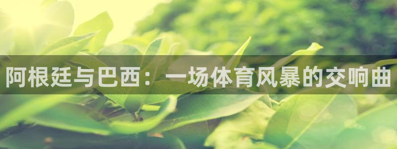 360绿色直播体育直播nba直播：阿根廷与巴西：一场体育风暴的交响曲