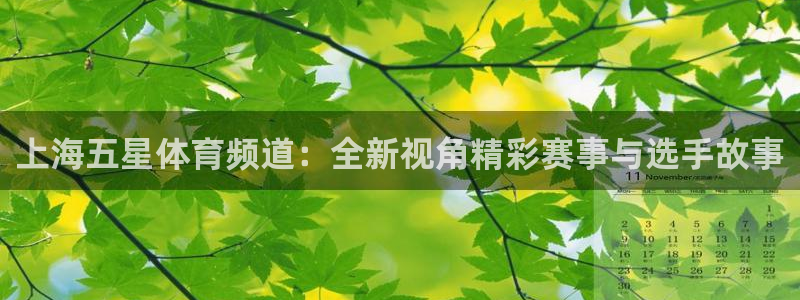 足球直播吧360直播雨燕直播：上海五星体育频道：全新视角精彩赛事与选手故事